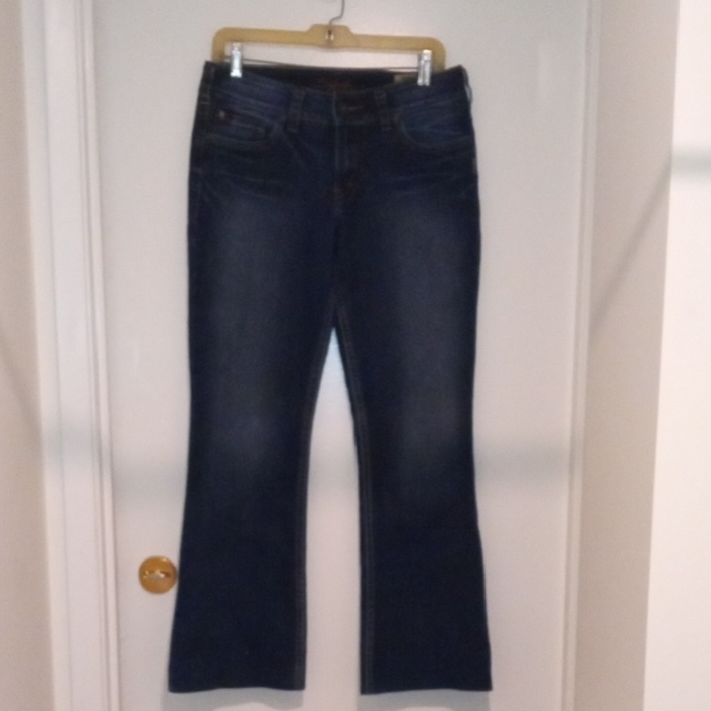 Silver Jeans Blue Flare Wide Leg Denim